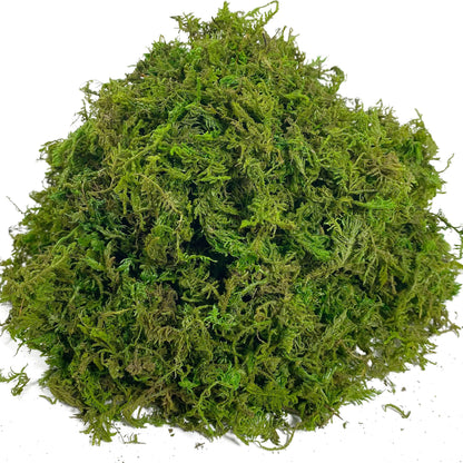 Realistic Artificial Moss for Potted Plants and Centerpiece Decor