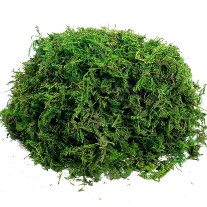 Realistic Artificial Moss for Potted Plants and Centerpiece Decor