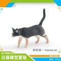 Option BMV61OMNK8-3