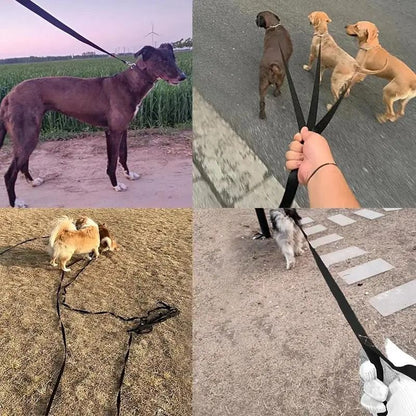 Horizon-Range Professional Training & Tracking Lead