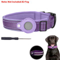 purple (no airtag)