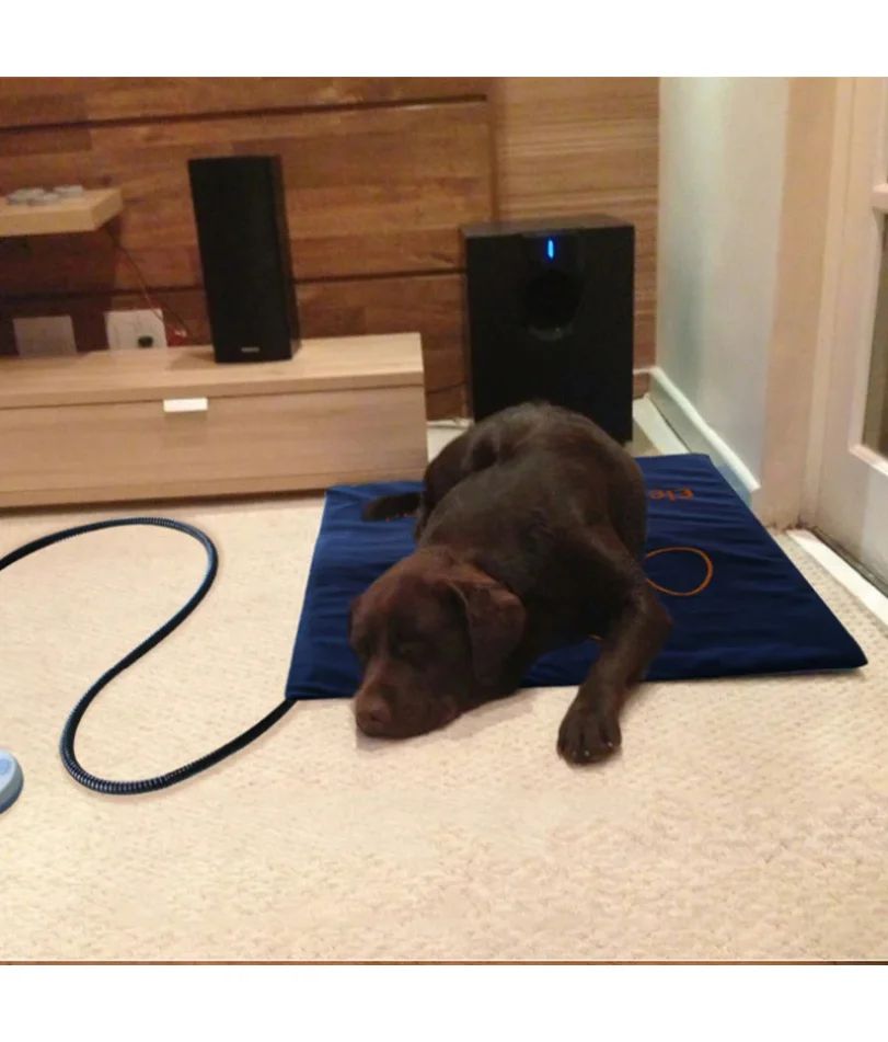 Adjustable Electric Heating Pad for Dogs and Cats