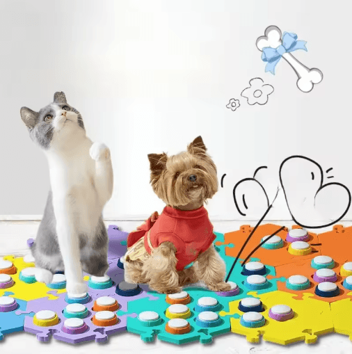 PawVoice Interactive Dog Communication Buttons for Pet Training