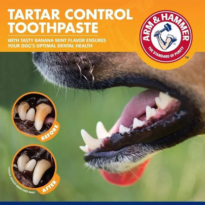 Pet Dental Care Cleaning Kit