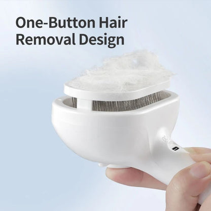 Electric Pet Mist & Massage Comb