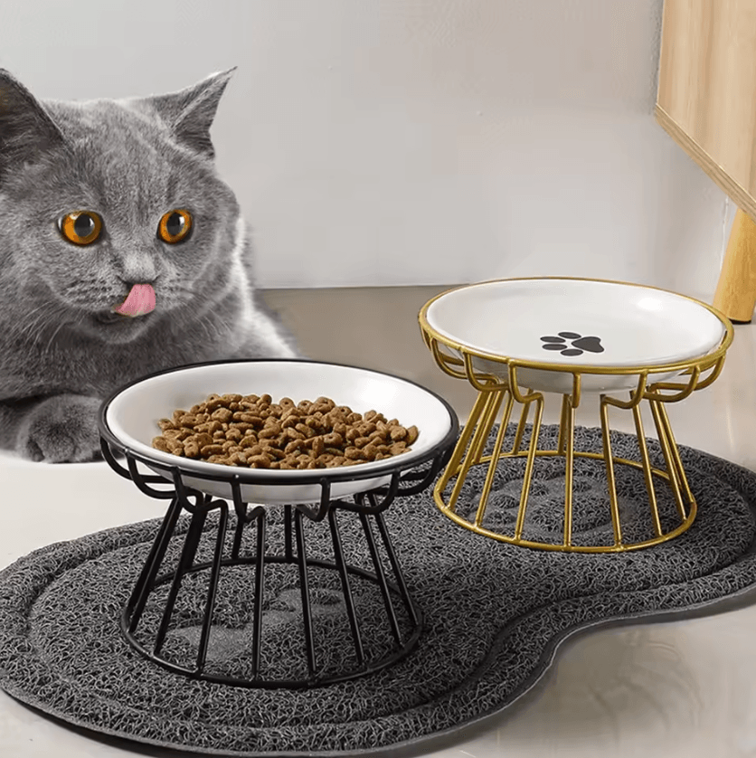 Whisker-Friendly Elevated Ceramic Cat Bowl with Anti-Tip Stand