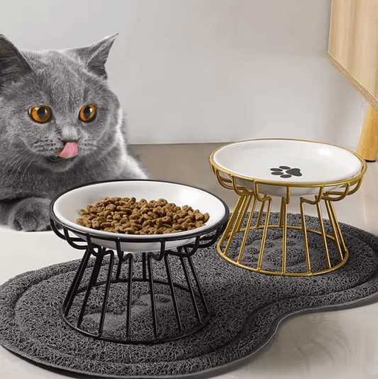 Whisker-Friendly Elevated Ceramic Cat Bowl with Anti-Tip Stand