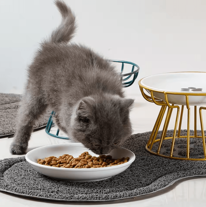 Whisker-Friendly Elevated Ceramic Cat Bowl with Anti-Tip Stand
