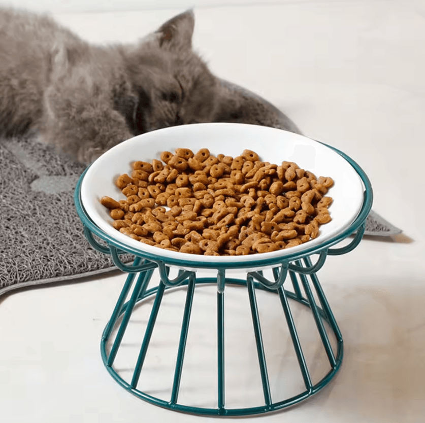 Whisker-Friendly Elevated Ceramic Cat Bowl with Anti-Tip Stand