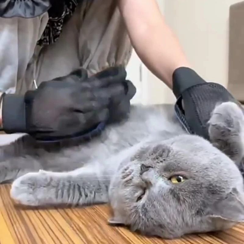Pet Silicone Grooming & Deshedding Gloves