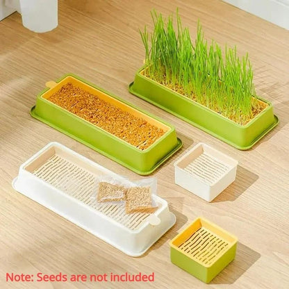 Soilless Layered Cat Grass Germination Set
