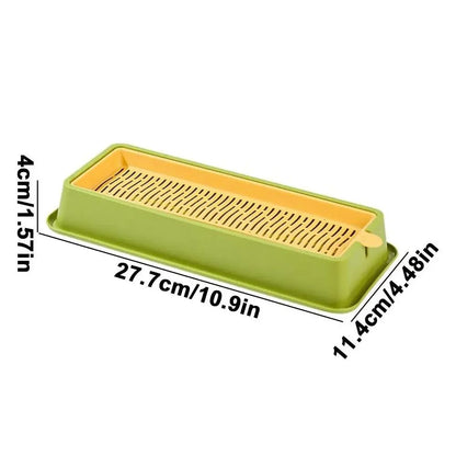 Soilless Layered Cat Grass Germination Set