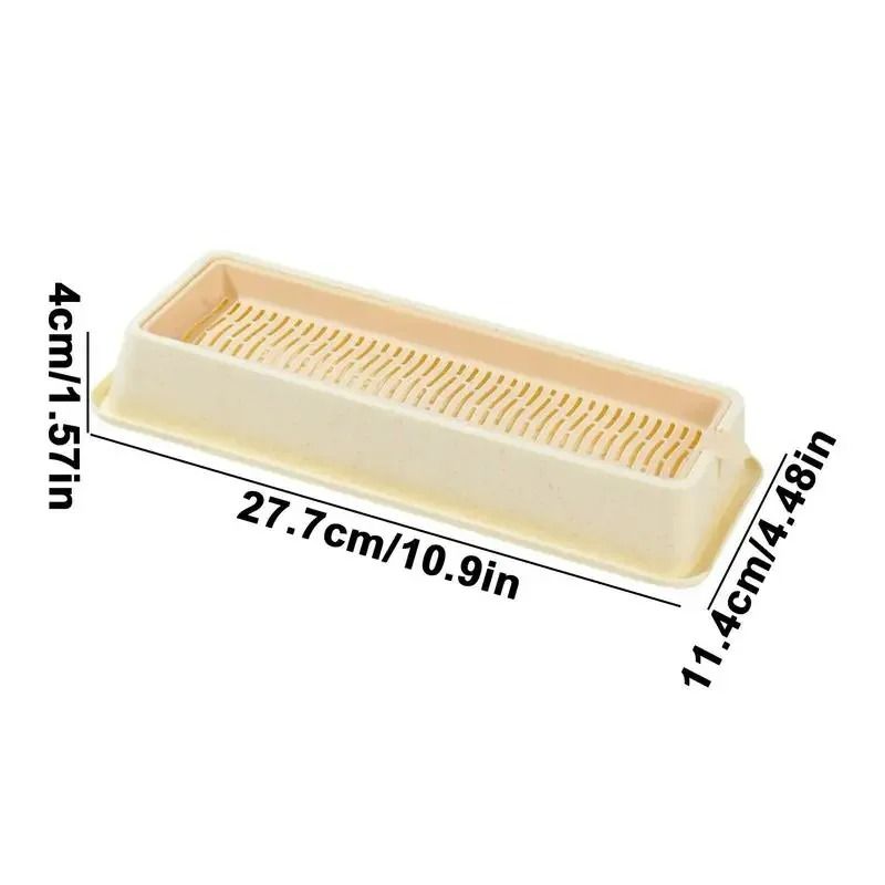 Soilless Layered Cat Grass Germination Set