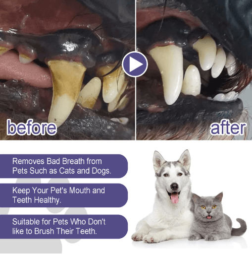 SmileFresh Easy Apply Pet Dental Care Gel for Dogs & Cats