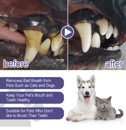 SmileFresh Easy Apply Pet Dental Care Gel for Dogs & Cats