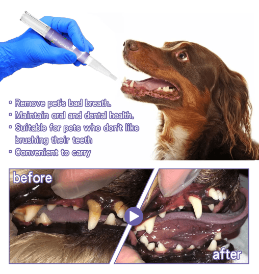 SmileFresh Easy Apply Pet Dental Care Gel for Dogs & Cats