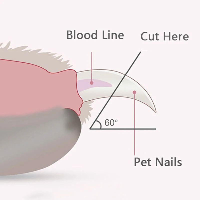 LED Pet Nail Clippers for Dogs & Cats Safe Paw Grooming Trimmer