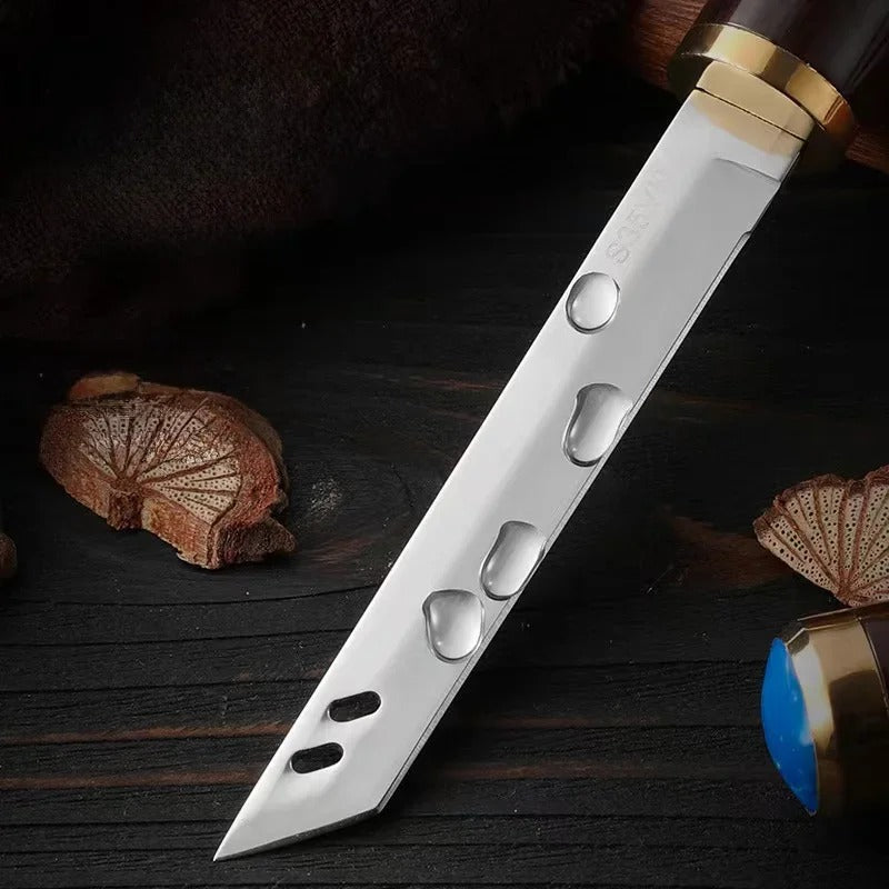 Stainless Steel EDC Pocket Knife for BBQ, Steak & Fruit Cutting