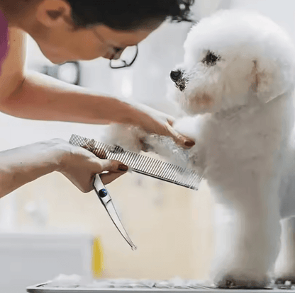 ProTrim 4PCS Pet Grooming Scissors Set – Safe Round Tip Dog & Cat Grooming Shears