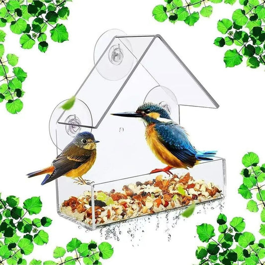 Bird Feeder High-Definition Wildlife Observation