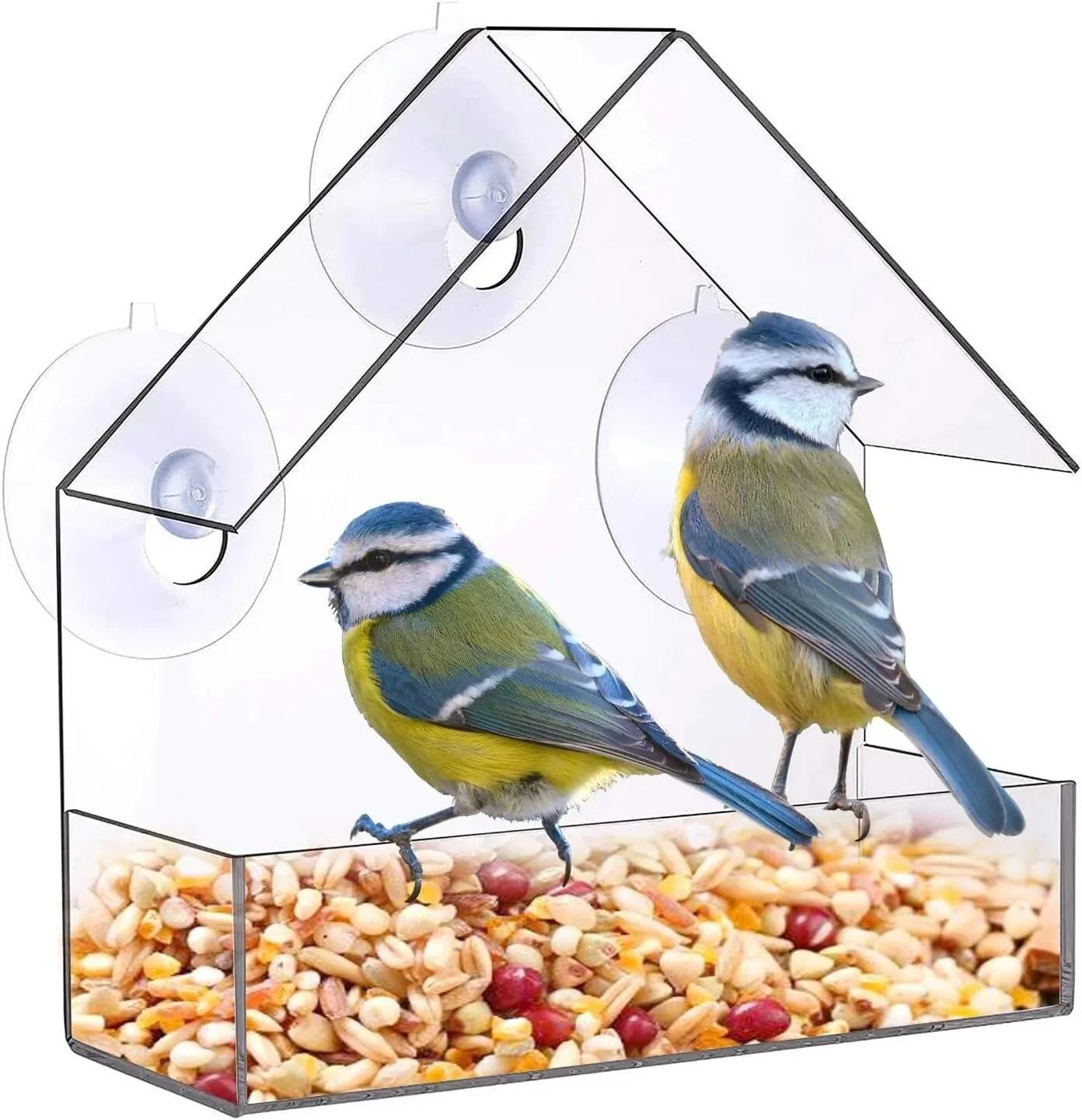 Bird Feeder High-Definition Wildlife Observation
