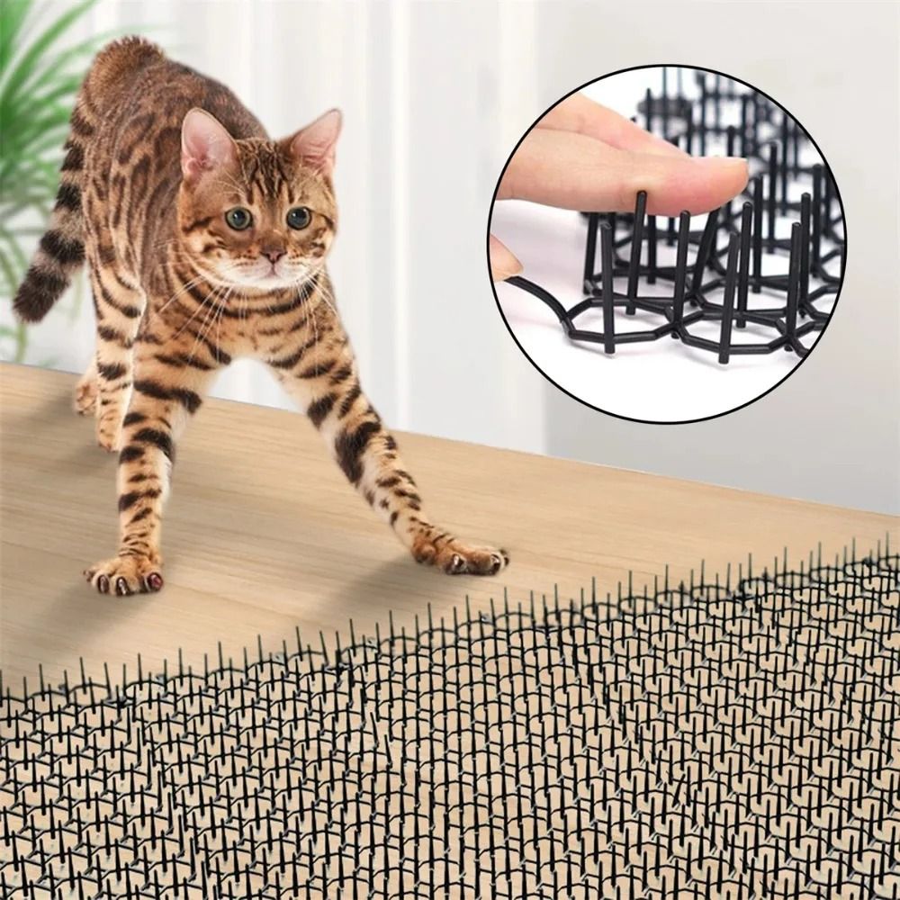 Anti-Climb Protective Spike Mat