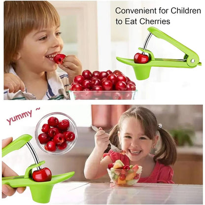 Heavy Duty Cherry Pitter Tool & Seed Remover with Space Saving Lock Design