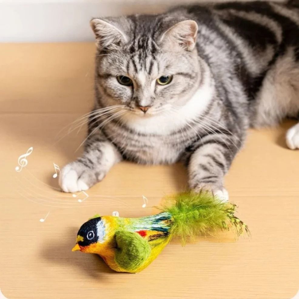 Interactive Bird Cat Teaser Toy with Catnip Sounding Wall Hanging Chasing Toy for Indoor Cats