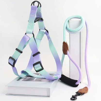 Soft Adjustable Small Dog Harness and Leash Set