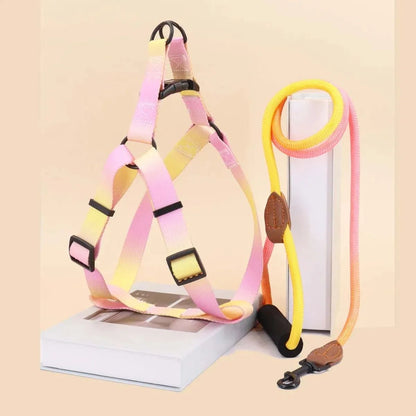 Soft Adjustable Small Dog Harness and Leash Set