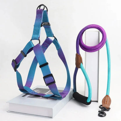 Soft Adjustable Small Dog Harness and Leash Set