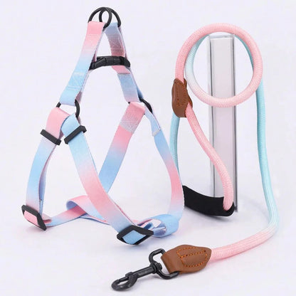 Soft Adjustable Small Dog Harness and Leash Set