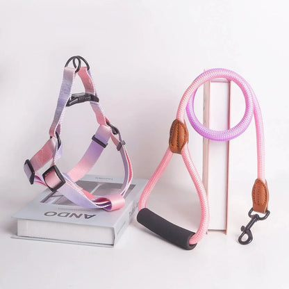 Soft Adjustable Small Dog Harness and Leash Set