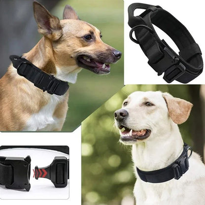 Adjustable Tactical Dog Collar And Training Leash Set