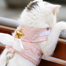Pet Collars & Leashes
