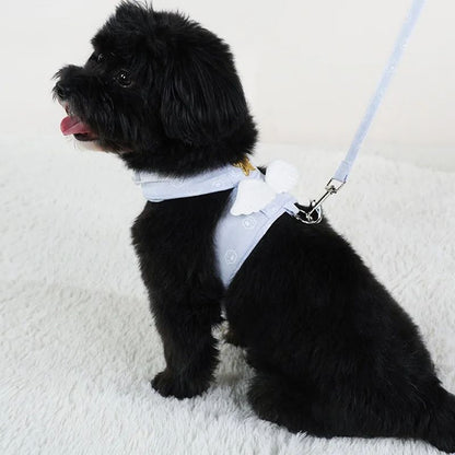 Angel Wings Pet Harness with Leash Set for Cats & Small Dogs