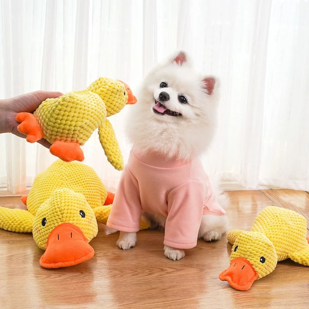 Cozy Chew Squeaky Dog Toy for Puppy Teething and Boredom Relief