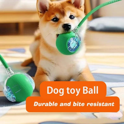 Smart Interactive Rolling Ball Toy for Dogs & Puppies