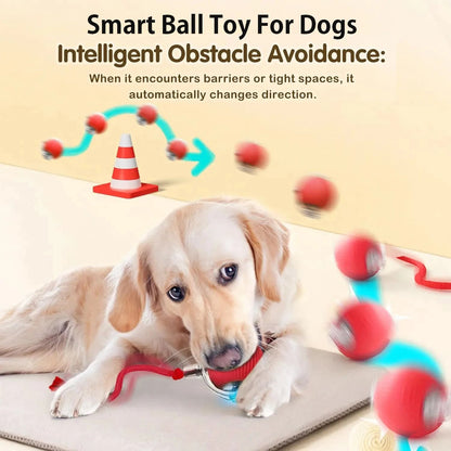 Smart Interactive Rolling Ball Toy for Dogs & Puppies