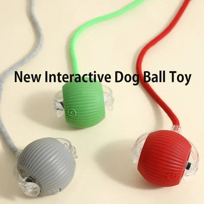 Smart Interactive Rolling Ball Toy for Dogs & Puppies