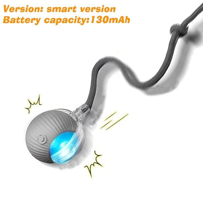 Smart Interactive Rolling Ball Toy for Dogs & Puppies