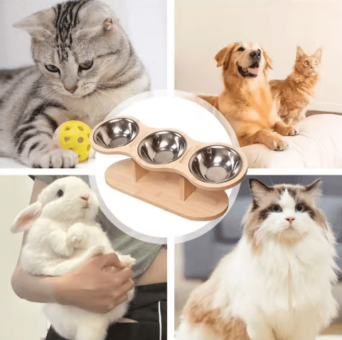 Elevated Wooden Cat Bowls – Raised Feeder Stand with Stainless Steel Bowls for Cats & Puppies