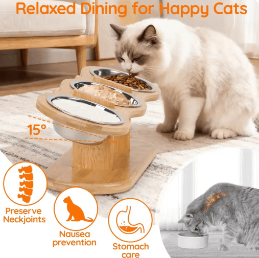 Elevated Wooden Cat Bowls – Raised Feeder Stand with Stainless Steel Bowls for Cats & Puppies