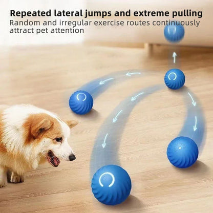 Smart Rolling Pet Ball Interactive Dog and Cat Toy