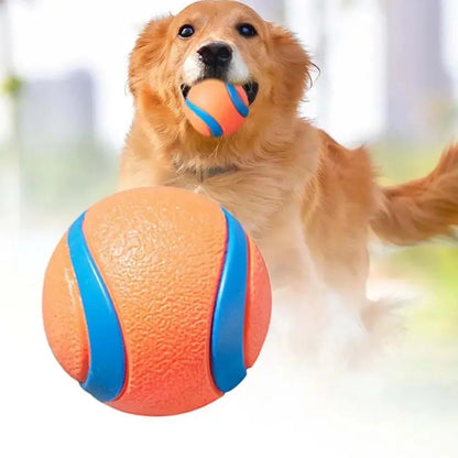 Tough Elastic Dog Fetch Ball for Chewing, Bouncing and Active Play