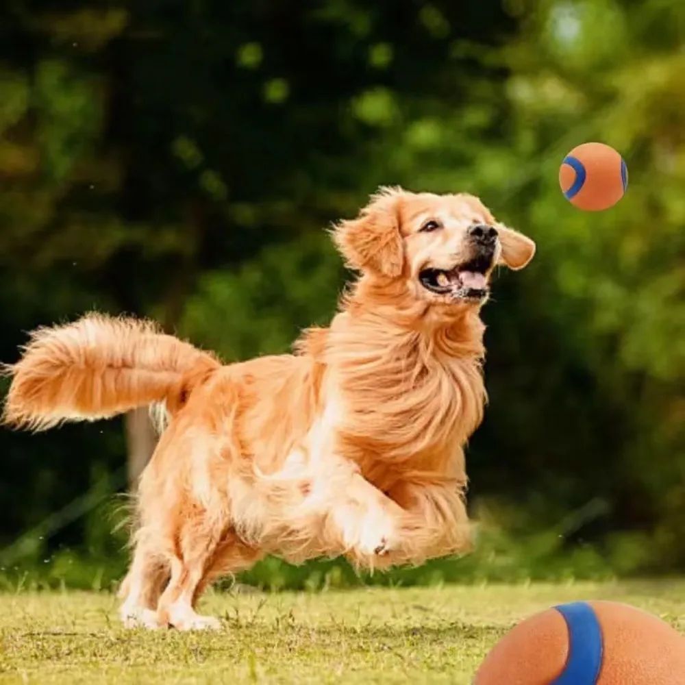 Tough Elastic Dog Fetch Ball for Chewing, Bouncing and Active Play