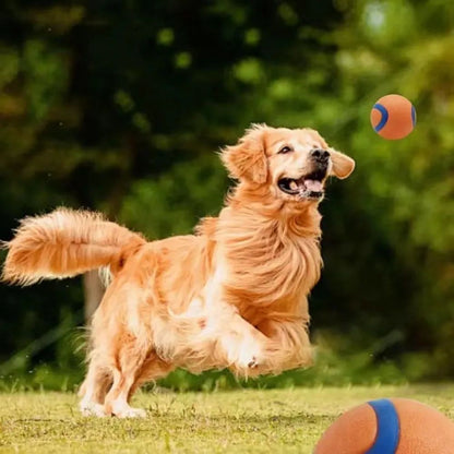 Tough Elastic Dog Fetch Ball for Chewing, Bouncing and Active Play