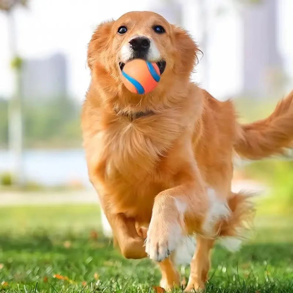 Tough Elastic Dog Fetch Ball for Chewing, Bouncing and Active Play