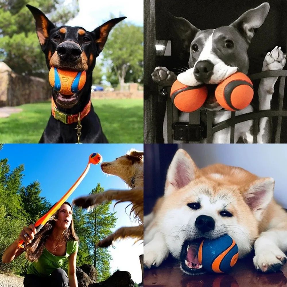Tough Elastic Dog Fetch Ball for Chewing, Bouncing and Active Play
