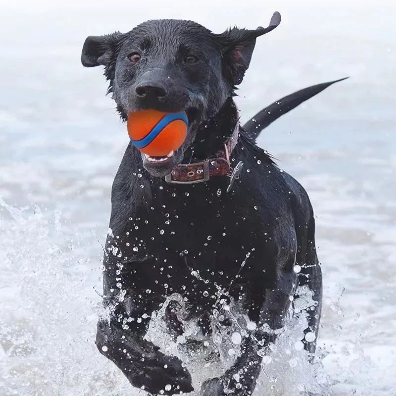 Tough Elastic Dog Fetch Ball for Chewing, Bouncing and Active Play